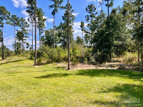 Molino Acreage Homesite Opportunity