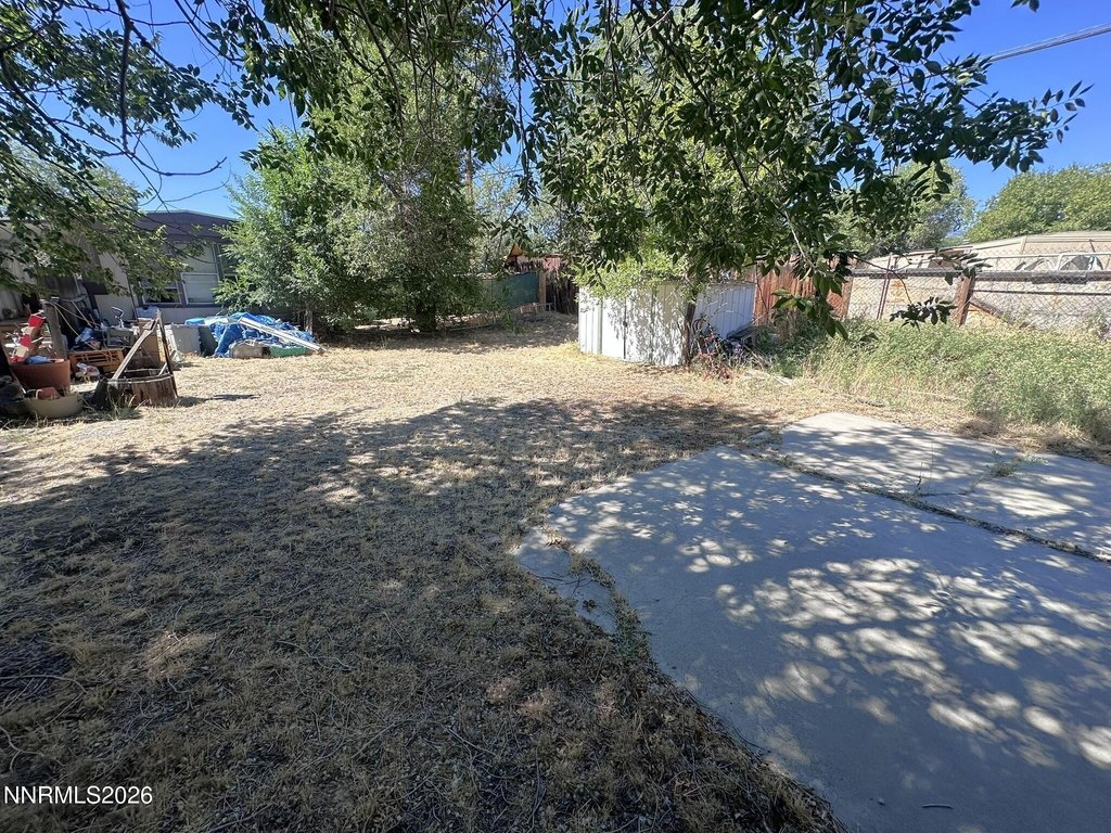 Picture 11