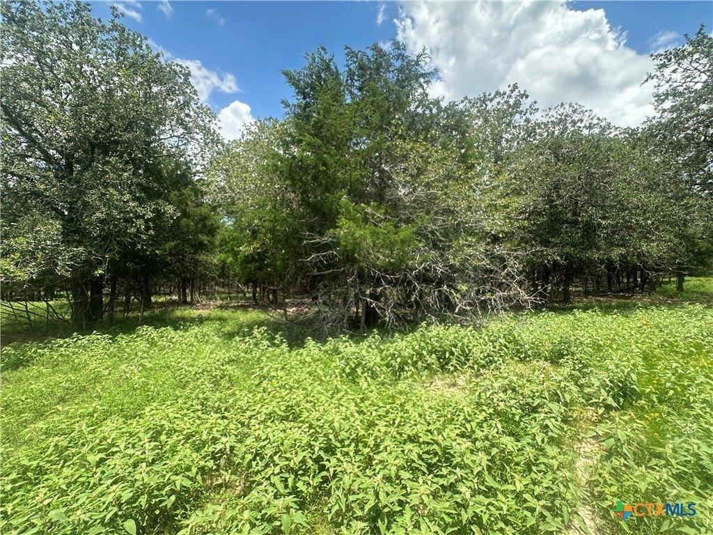 Picture 6