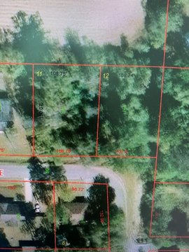 Residential Lot in Ashford, AL
