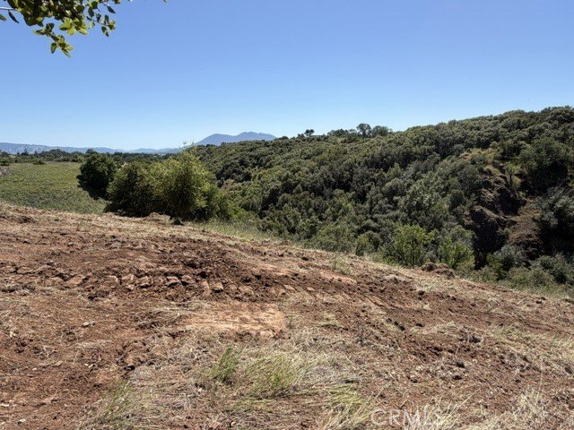 Picture 39