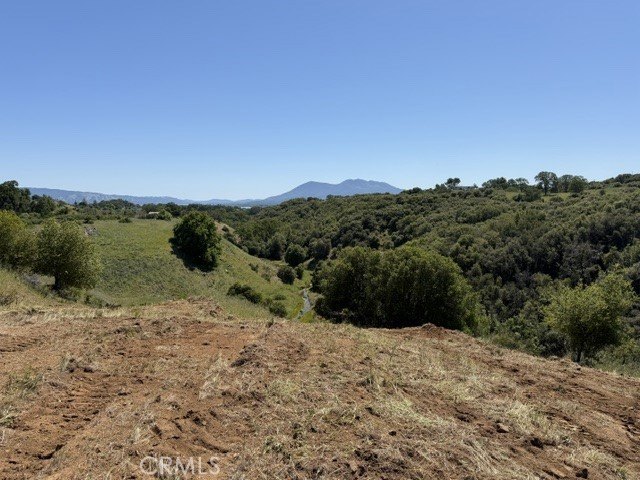 Picture 33