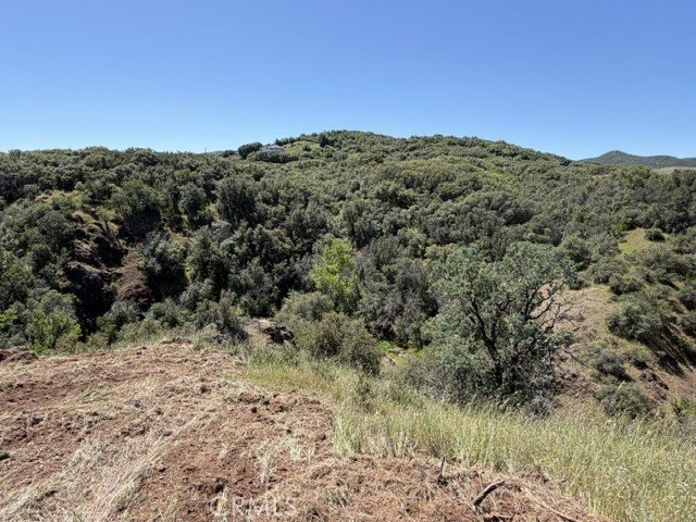 Picture 38