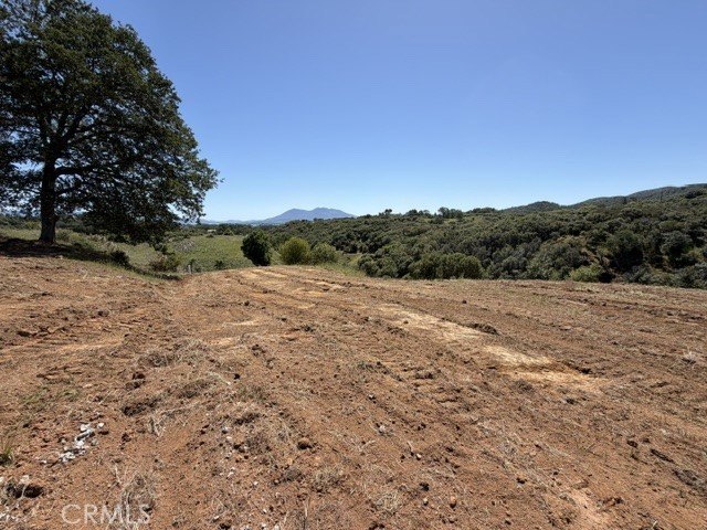 Picture 42