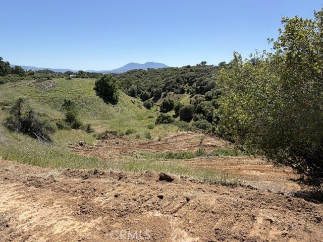 Picture 32