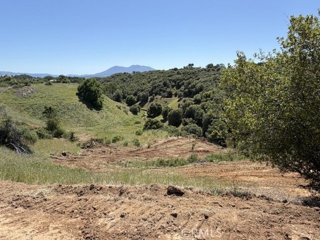 Picture 31
