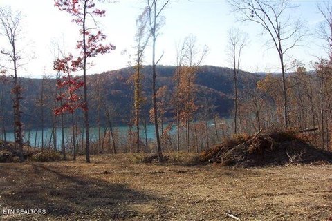 Wooded Lot Near Norris Lake