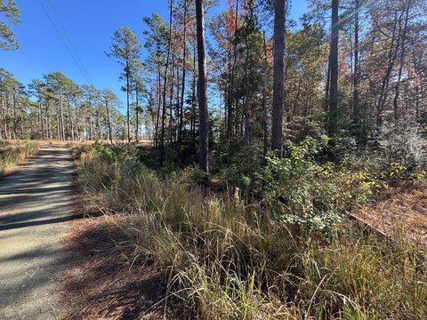 Brookeland Acreage in Gated Community