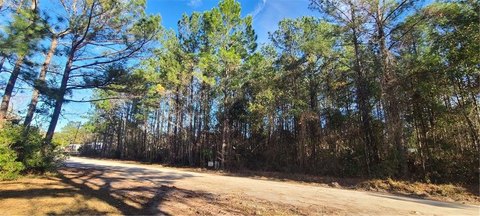 Coastal Land Opportunity, Townsend, GA