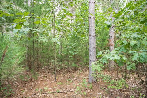 Lots & Acreage, Necedah, WI