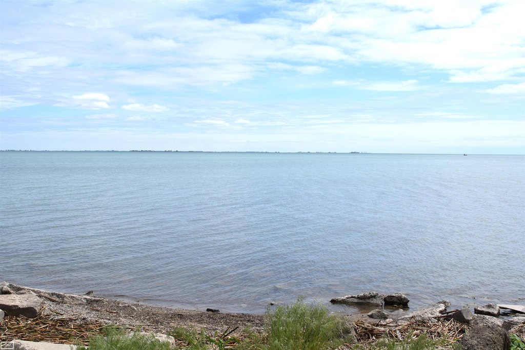 Picture 8