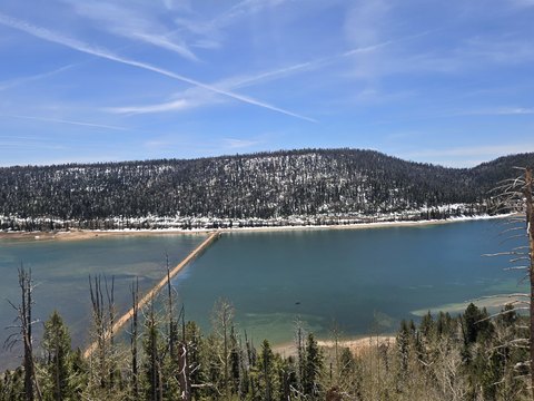 Wooded Lot Near Navajo Lake