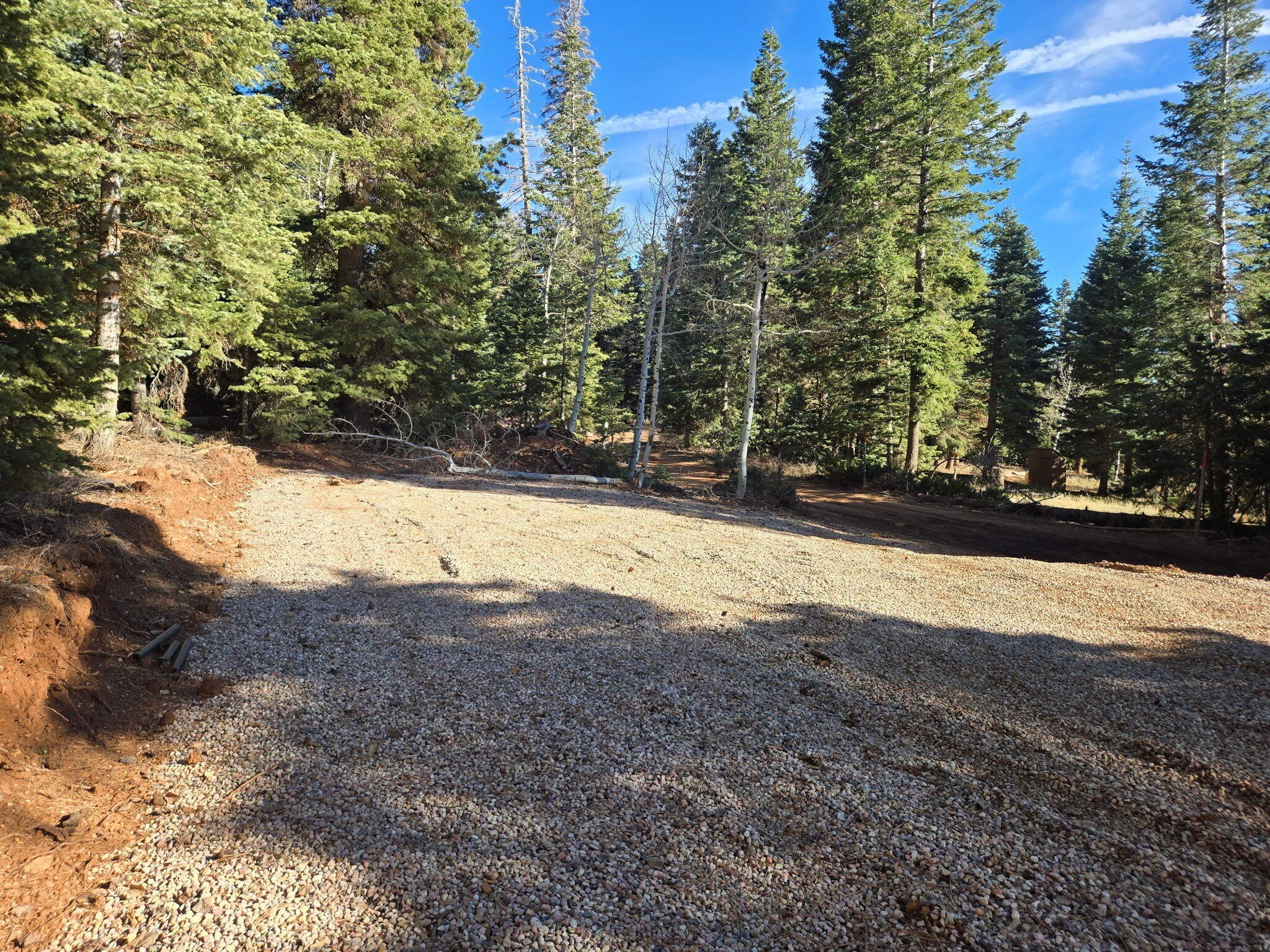 Wooded Lot Near Navajo Lake