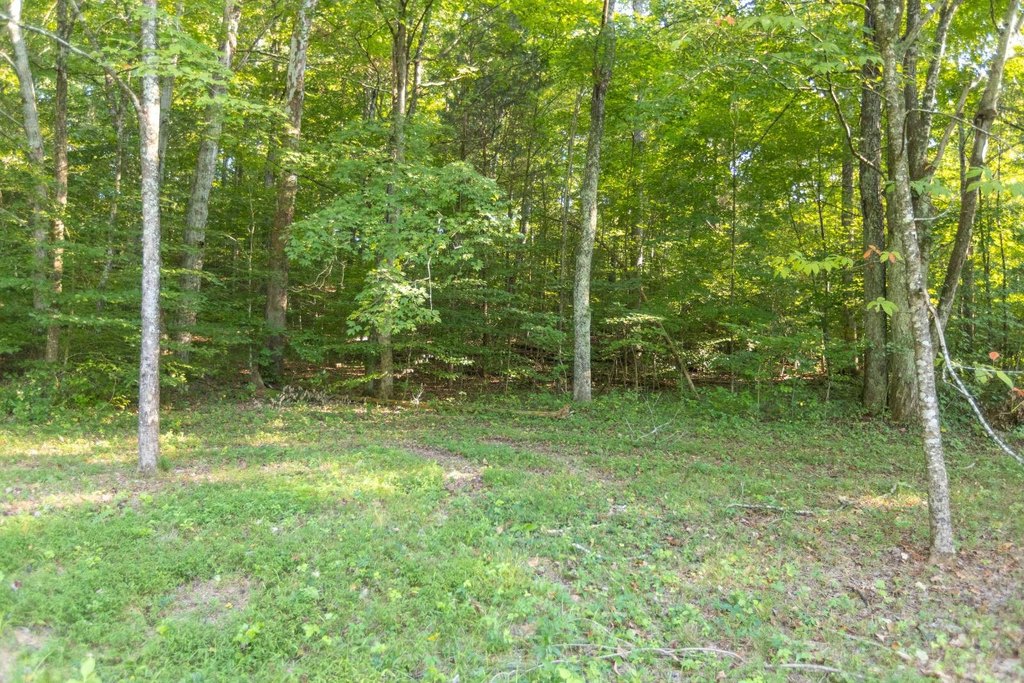Picture 5