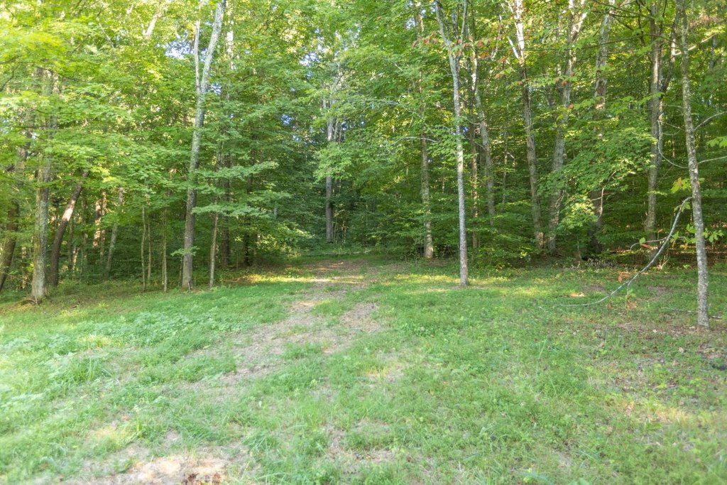 Picture 4