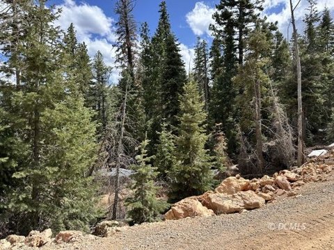 Residential Lot in Duck Creek