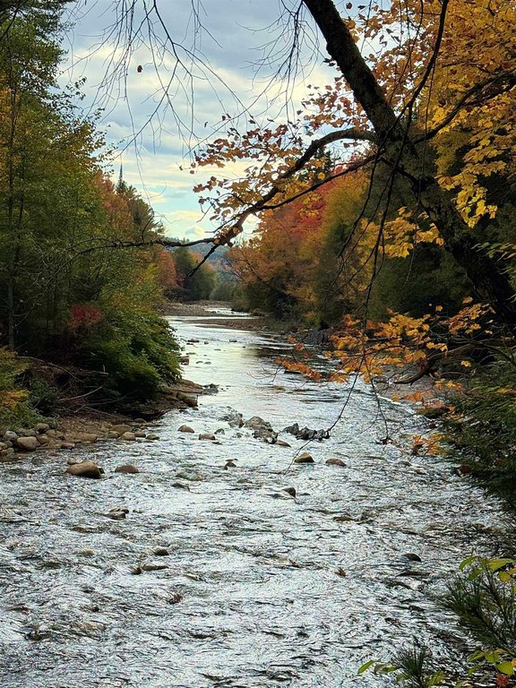 Picture 40