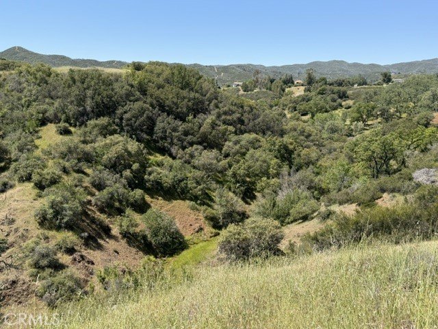 Picture 37