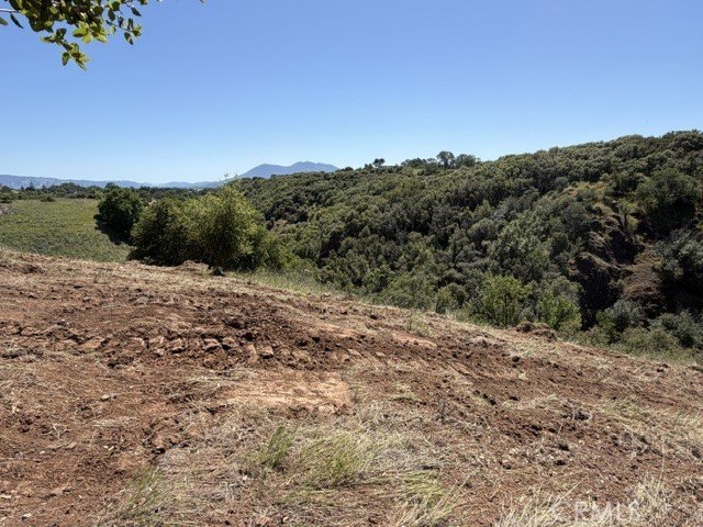 Picture 39