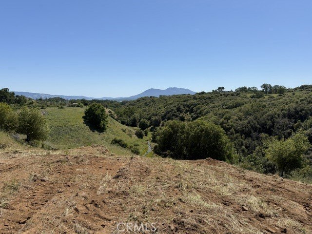 Picture 33