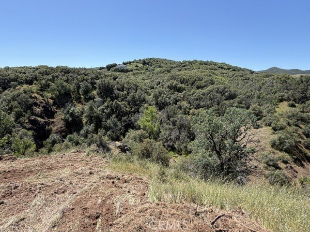 Picture 38