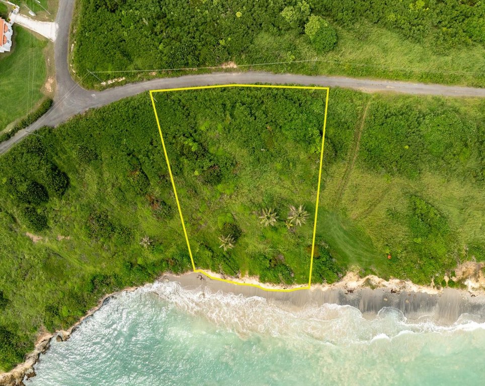 Picture 4