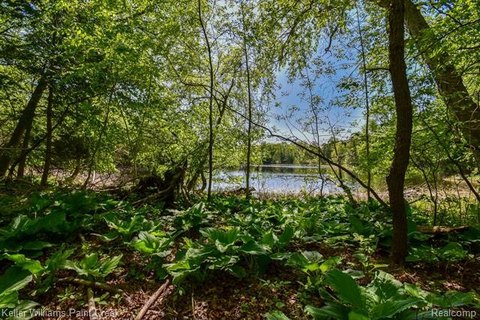 Vacant Land, Lapeer, MI