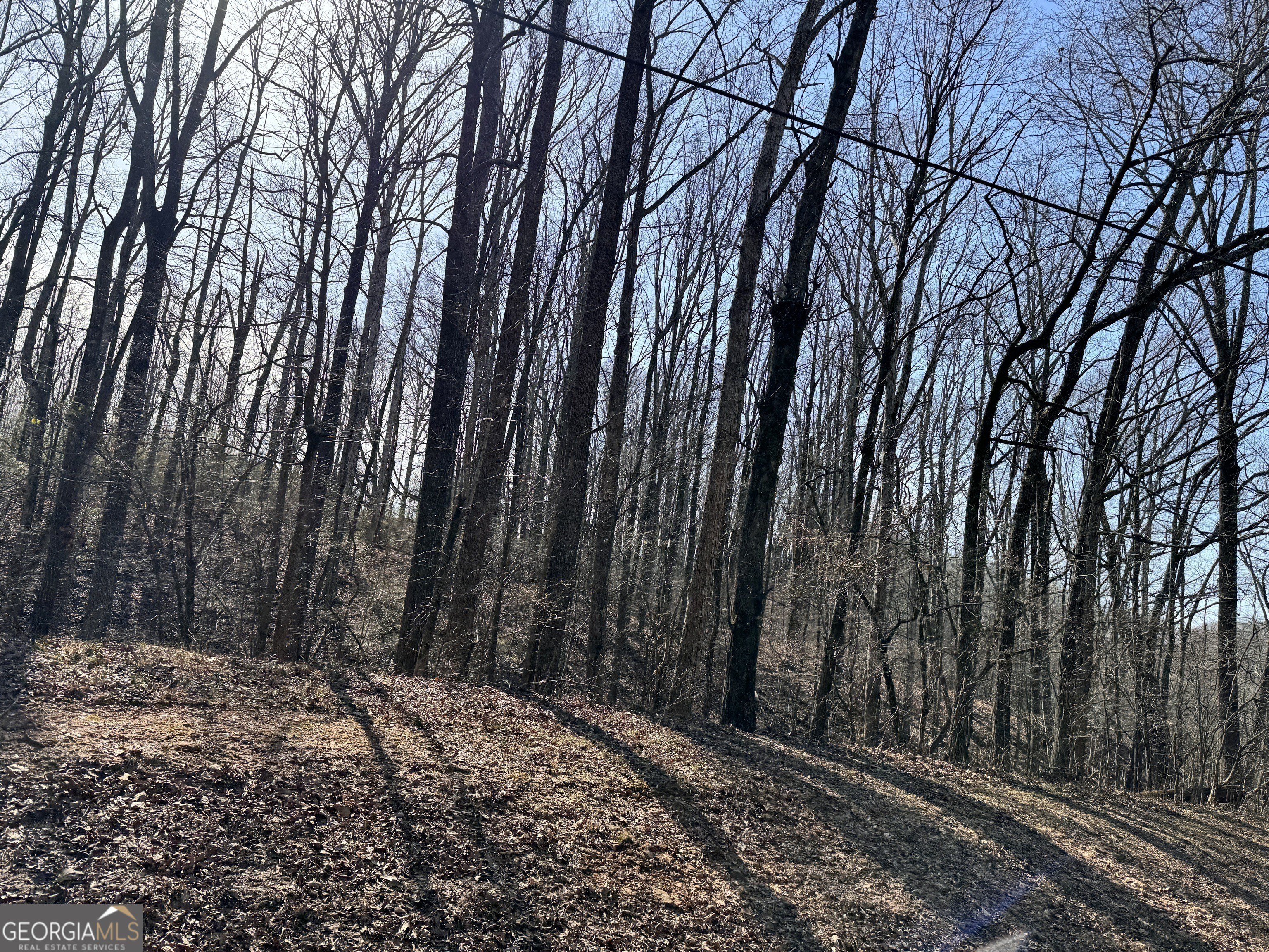 Land in Winder, Georgia