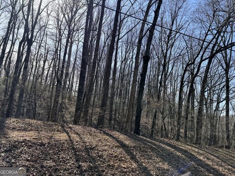 Land in Winder, Georgia