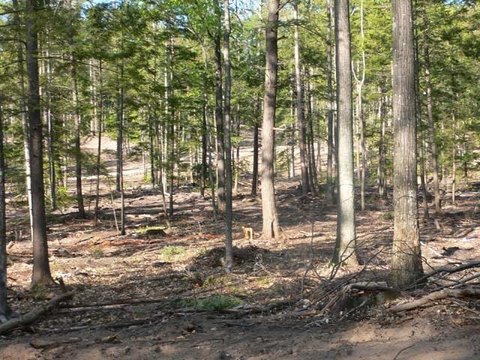 LAND - WALLOON LAKE, MI