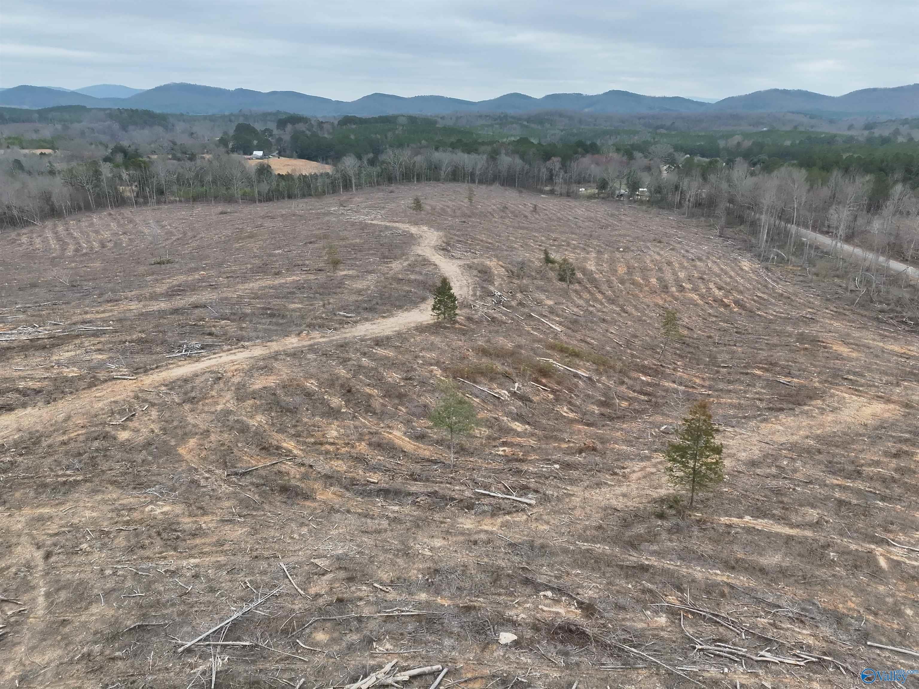 80 Acres in Cherokee County