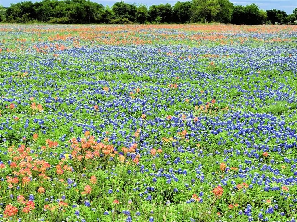 Hillsboro 10-Acre Residential Land