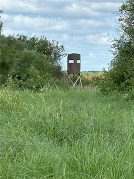 Affordable Hunting Land in Bagley, MN
