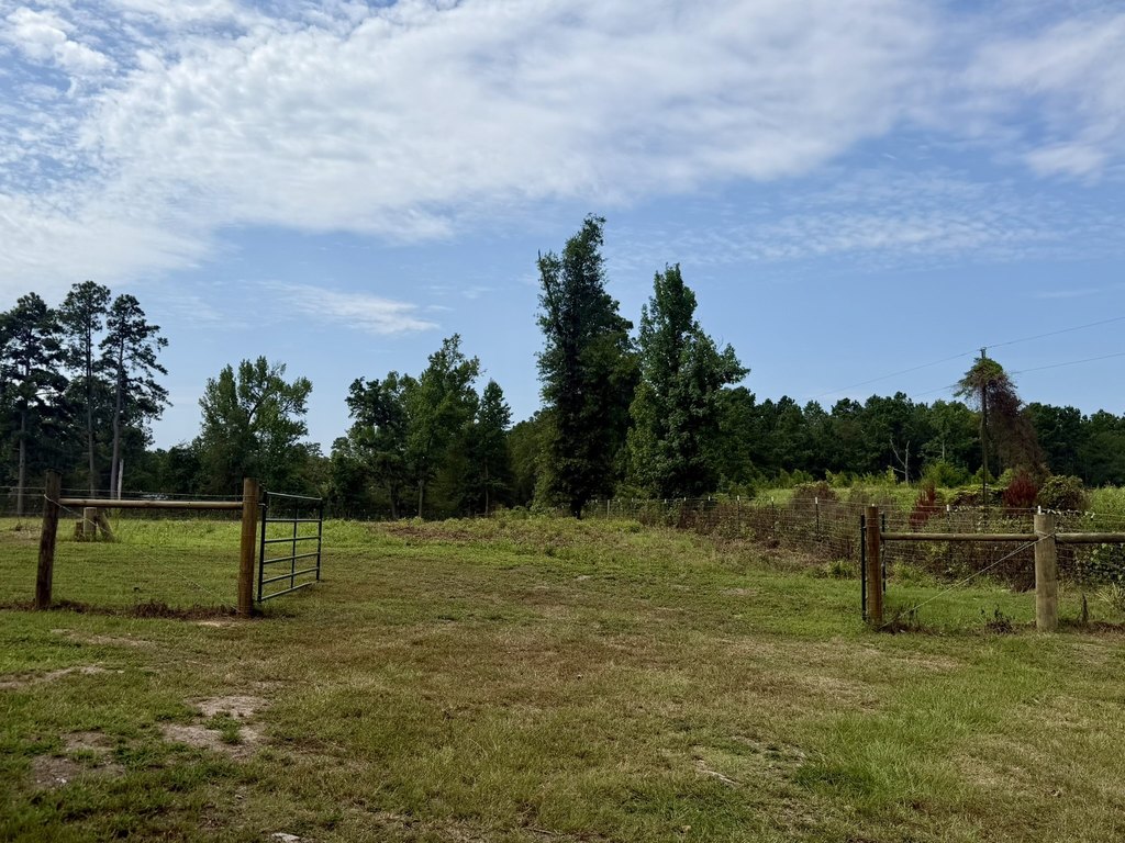 Picture 19
