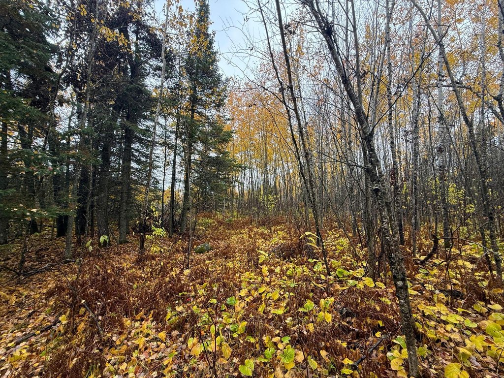 Picture 30