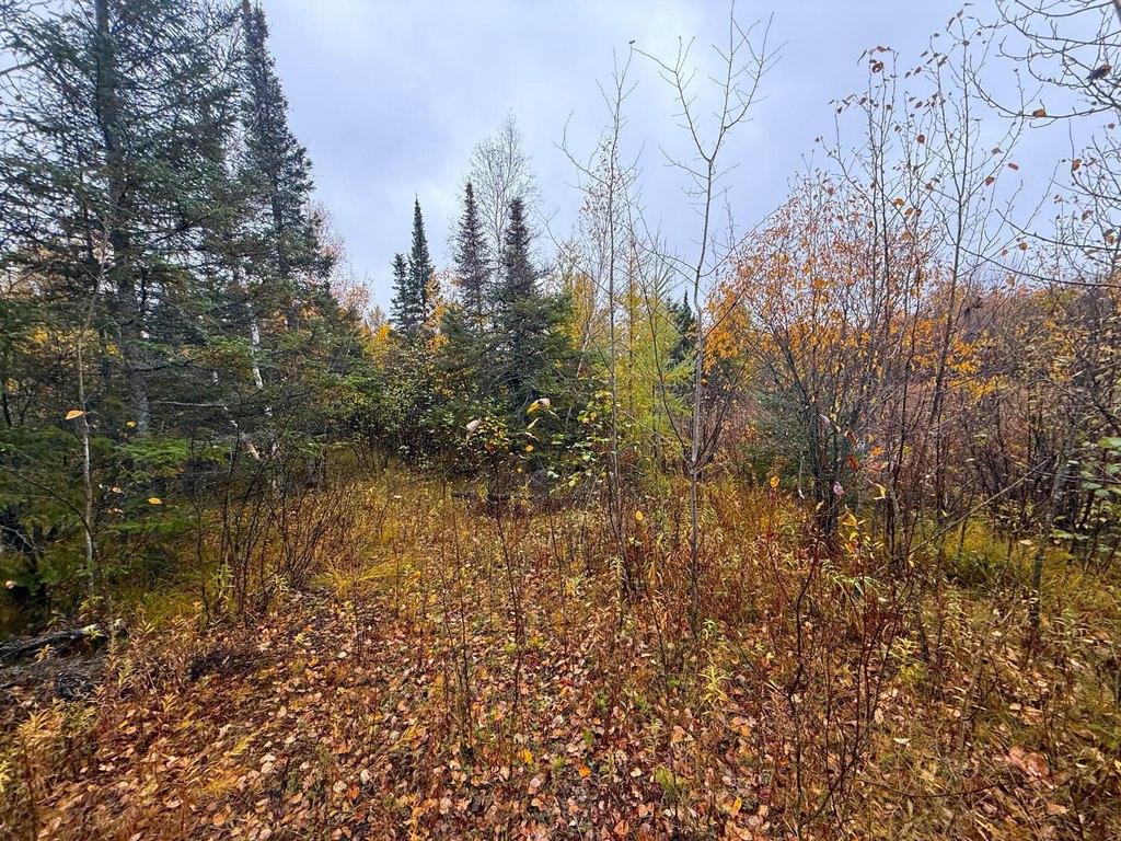 Picture 33