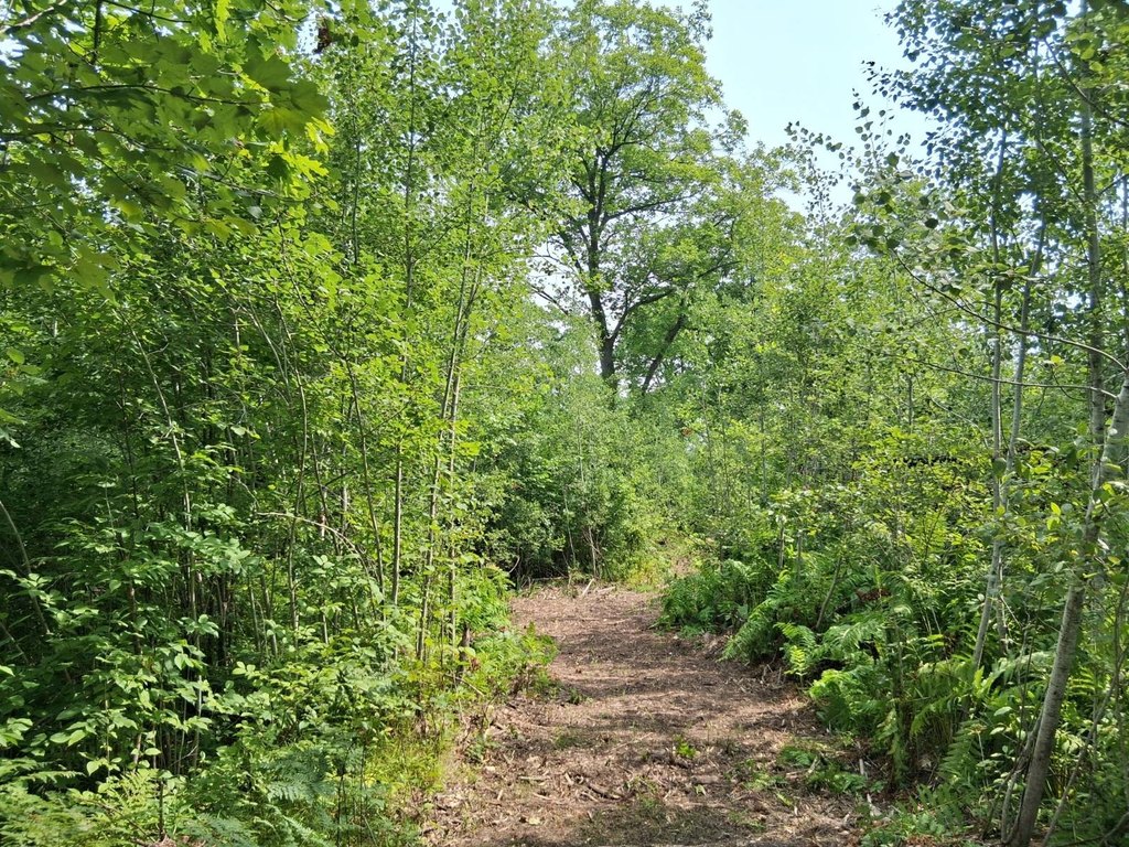 Picture 4
