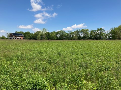 LAND - Urbana, IL