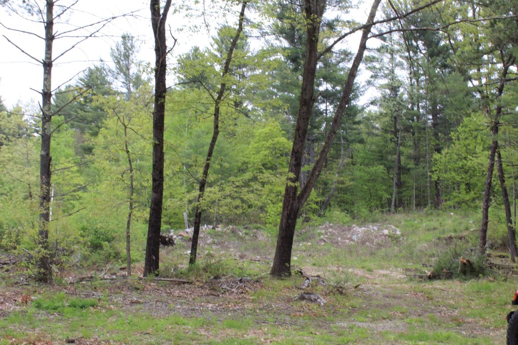 Picture 14