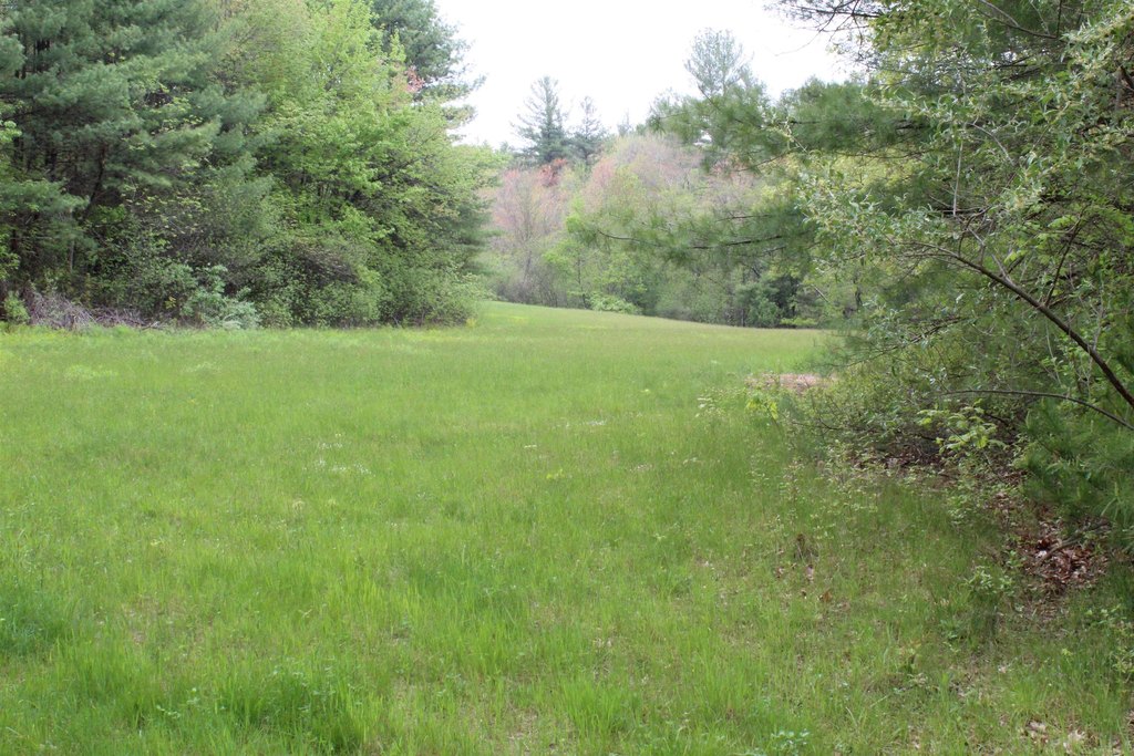 Picture 13