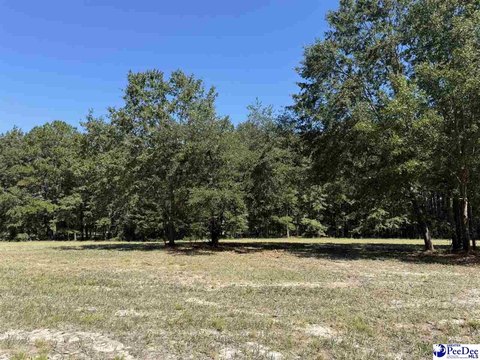 Land, Dillon, SC