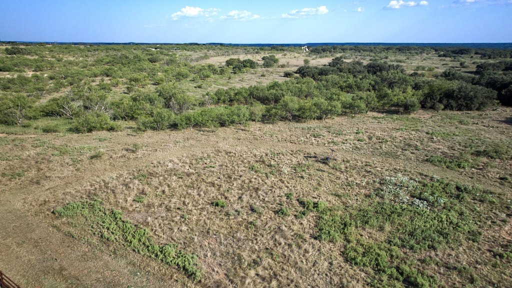 Picture 20