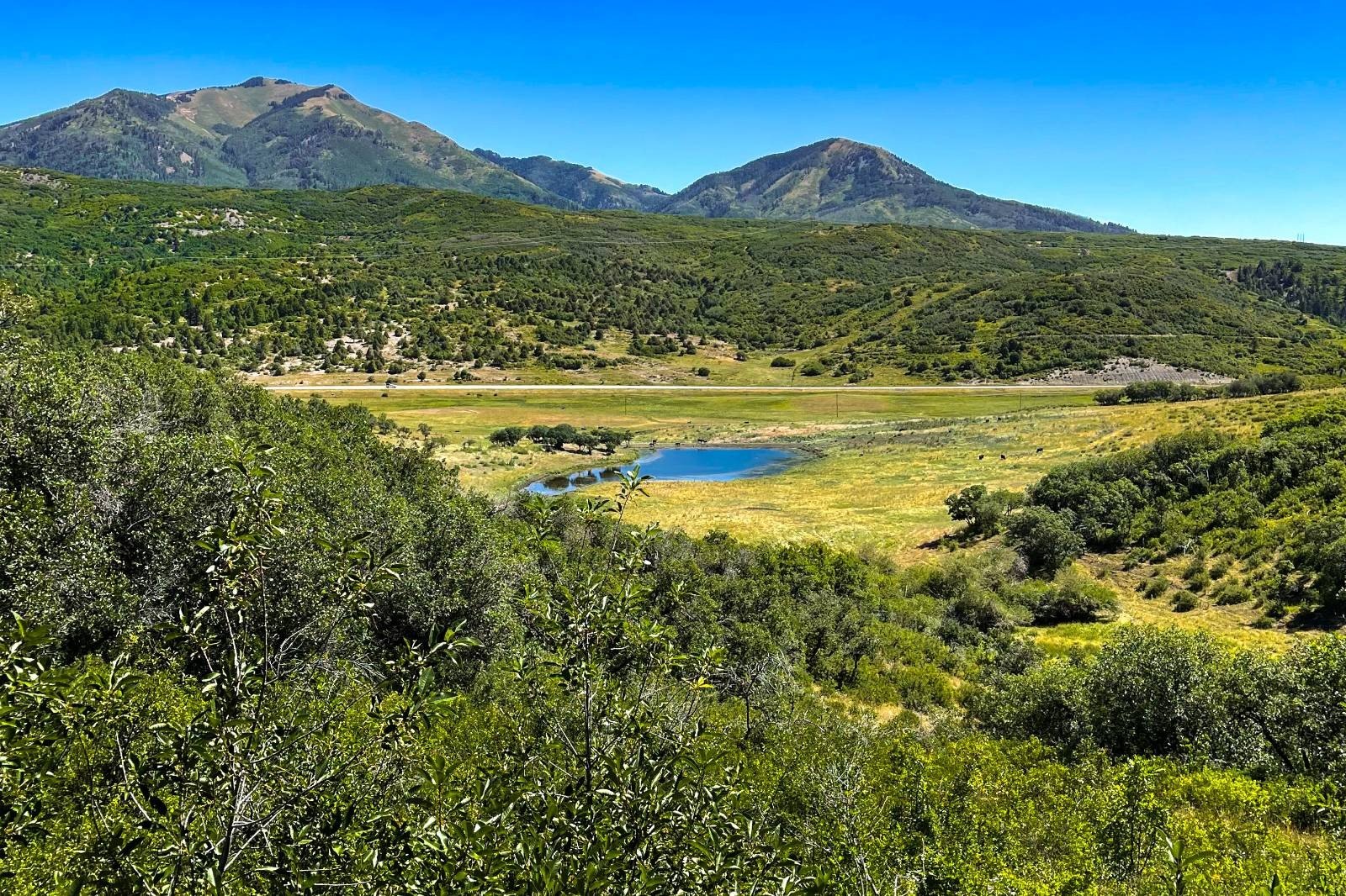 Hesperus Vacant Land For Sale