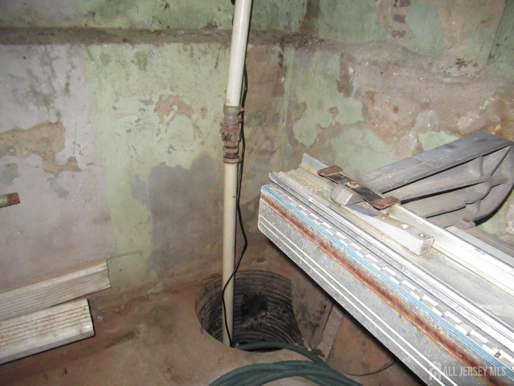 Picture 44