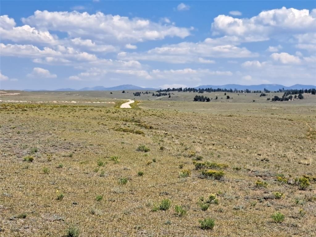 Picture 26