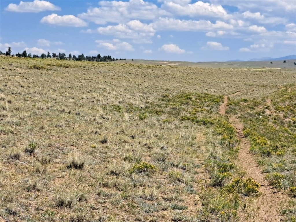 Picture 28