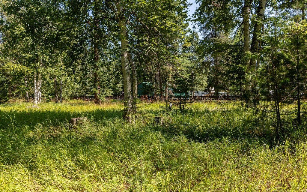 Picture 30