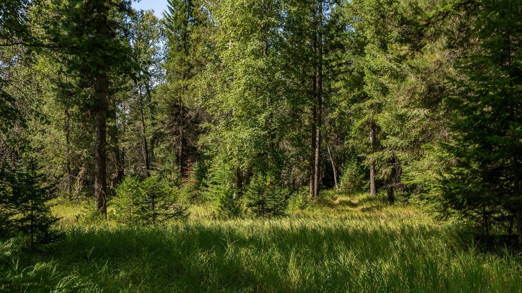 Picture 24
