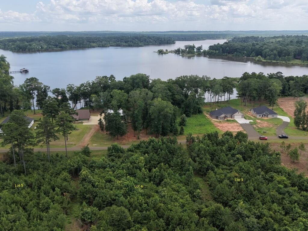 Picture 3