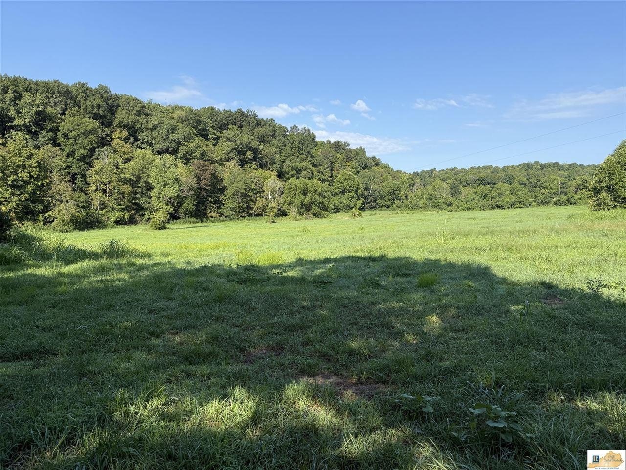Versatile Land Tract in Columbia